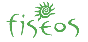 Fiseos Fisioterapia